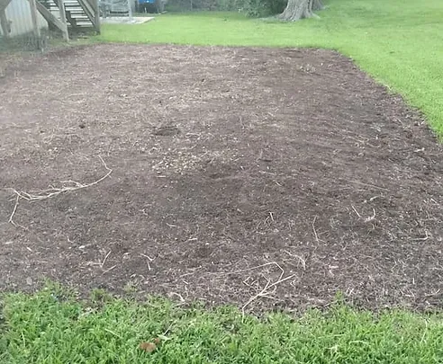 wood
